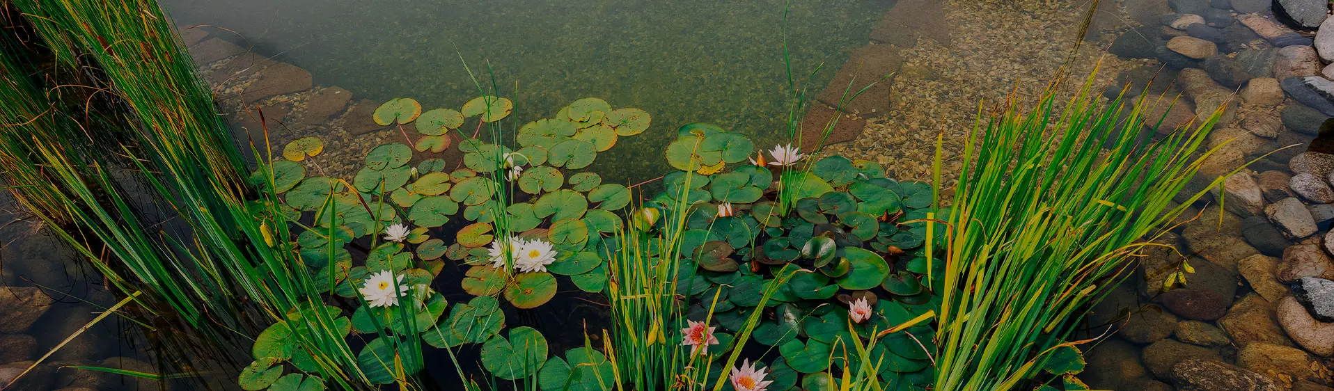 Фон технологий водоемов