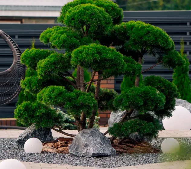 Проект ландшафтного дизайна Автополив21