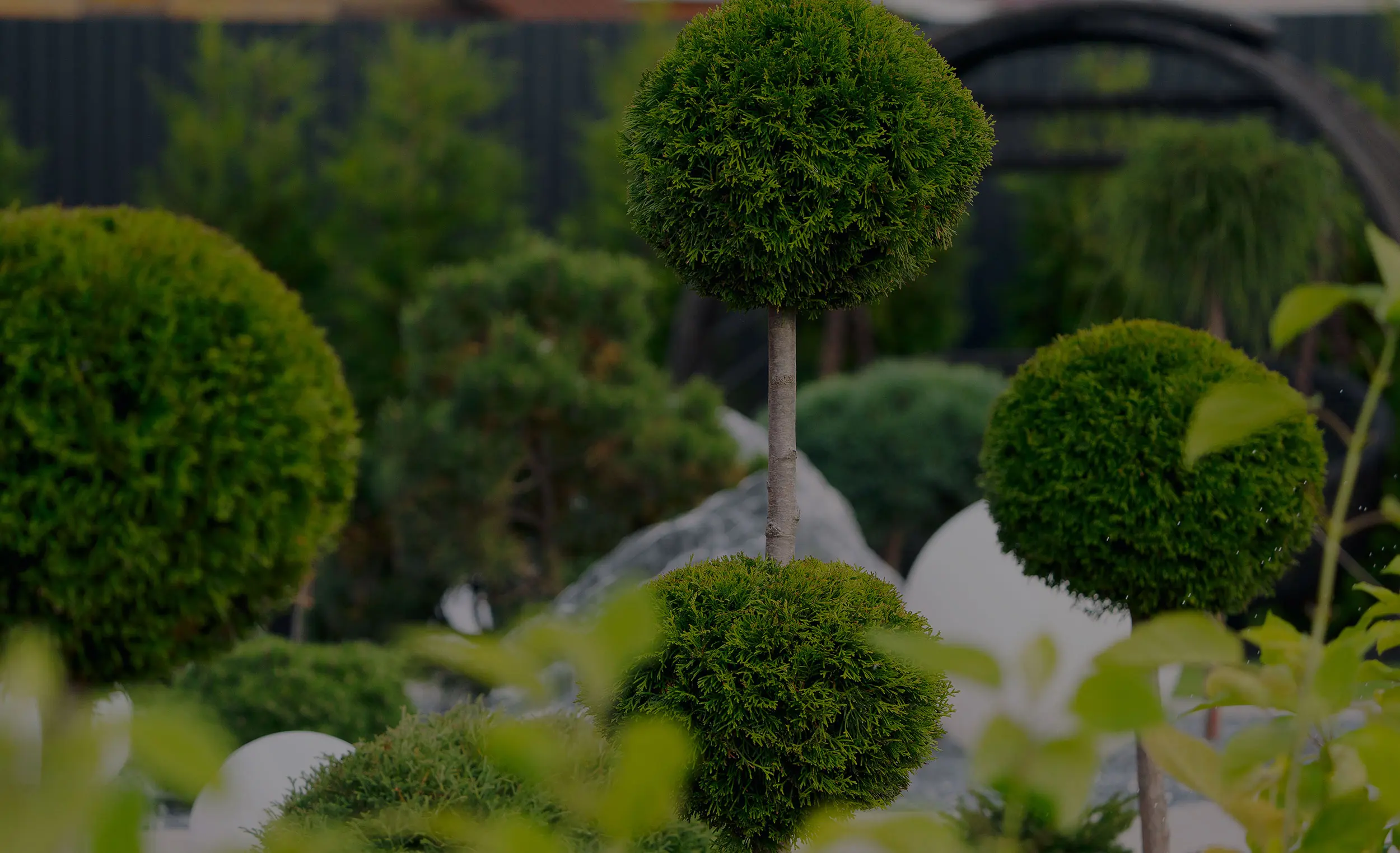 Современный русский ландшафт